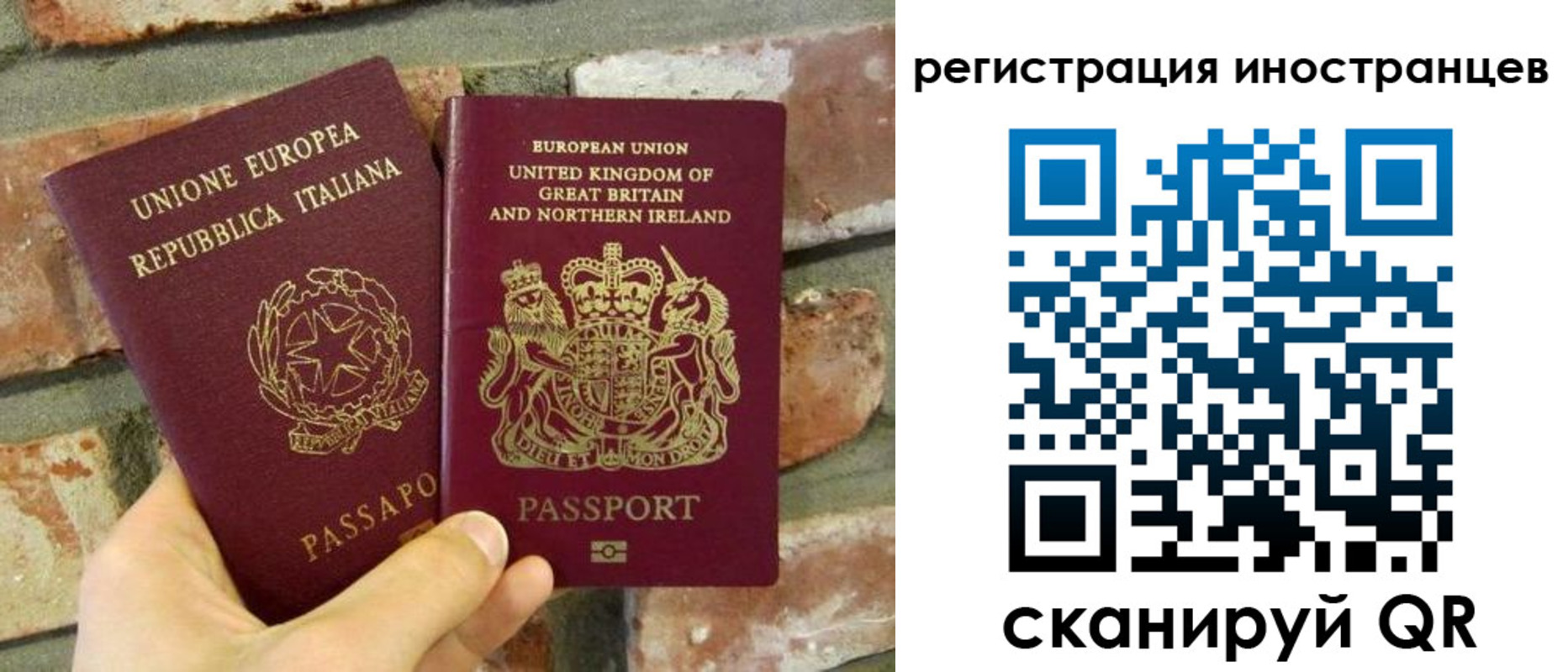 прописка 2025 в Тереке